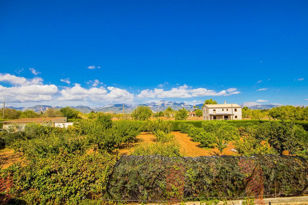 Can Pascolet Inca (Mallorca) Exterior foto