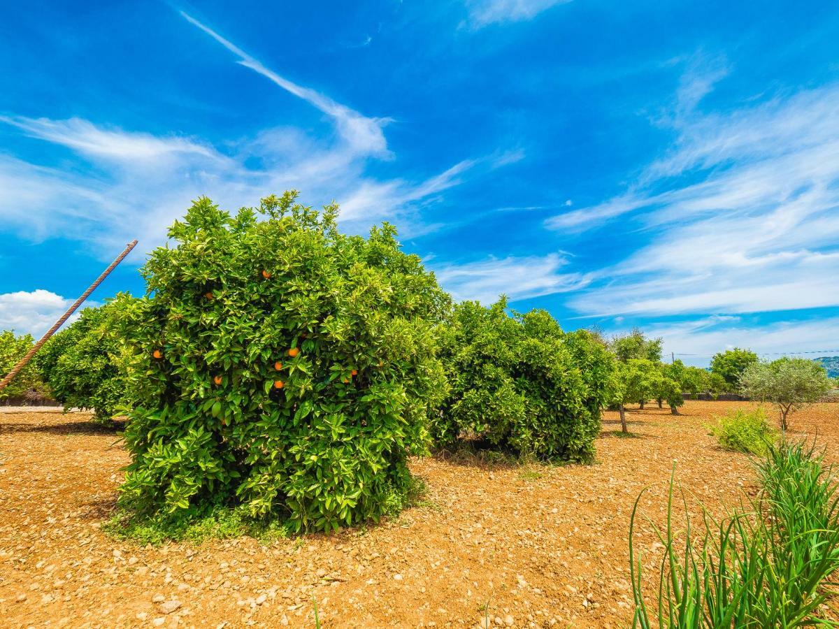 Can Pascolet Inca (Mallorca) Exterior foto